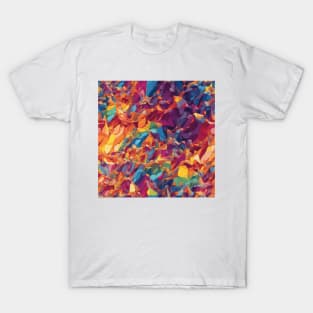 Radiant Color Explosion T-Shirt